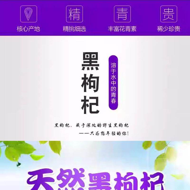 青海黑枸杞200g小袋盒装